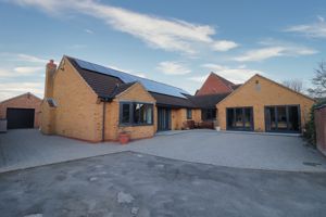 Frontal- click for photo gallery